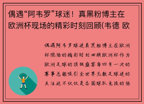 偶遇“阿韦罗”球迷！真黑粉博主在欧洲杯现场的精彩时刻回顾(韦德 欧洲杯)