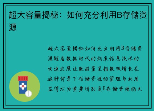 超大容量揭秘：如何充分利用B存储资源