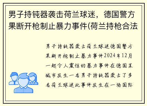 男子持钝器袭击荷兰球迷，德国警方果断开枪制止暴力事件(荷兰持枪合法吗)