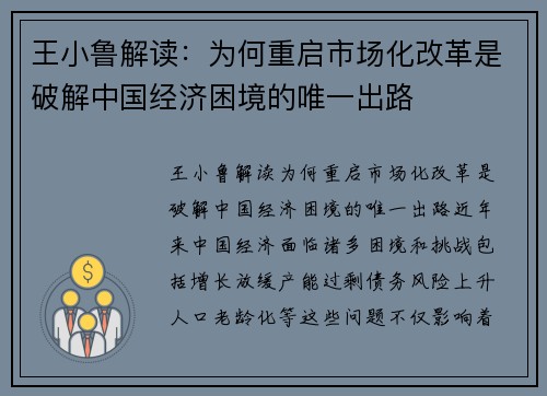 王小鲁解读：为何重启市场化改革是破解中国经济困境的唯一出路