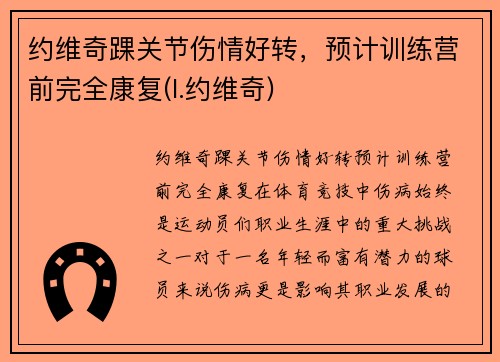 约维奇踝关节伤情好转，预计训练营前完全康复(l.约维奇)
