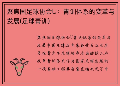 聚焦国足球协会U：青训体系的变革与发展(足球青训)