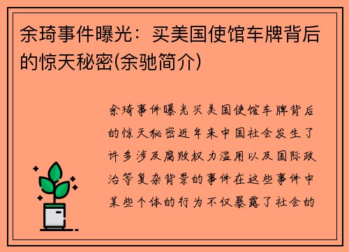 余琦事件曝光：买美国使馆车牌背后的惊天秘密(余驰简介)