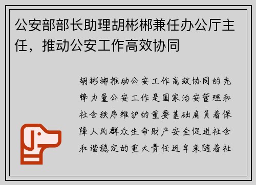 公安部部长助理胡彬郴兼任办公厅主任，推动公安工作高效协同